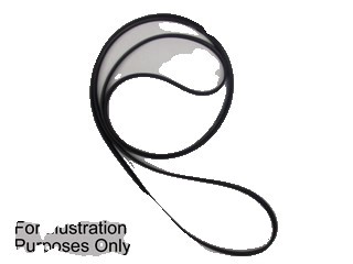 Belt non gen