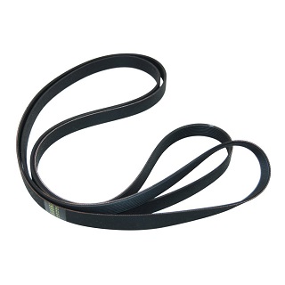 Poly V Belt