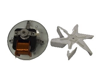 Motor