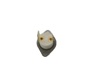 Thermistor