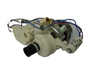 Wash Motor