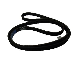 Non Genuine Belt